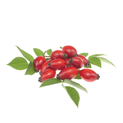 Rosehip extract