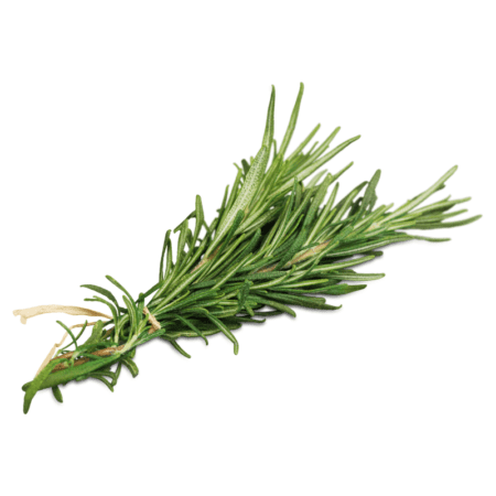 rosemary