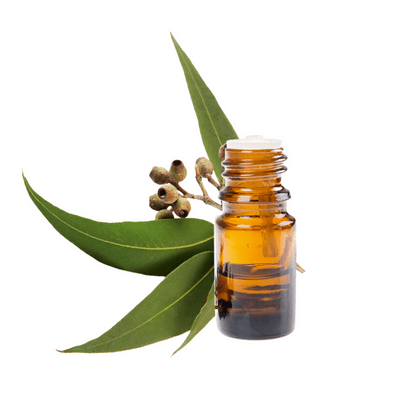 Tea tree oil